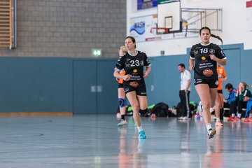Bild 230 - Frauen OL TuS Esingen - SG Niendorf/Wandsetal : Ergebnis: 24:17